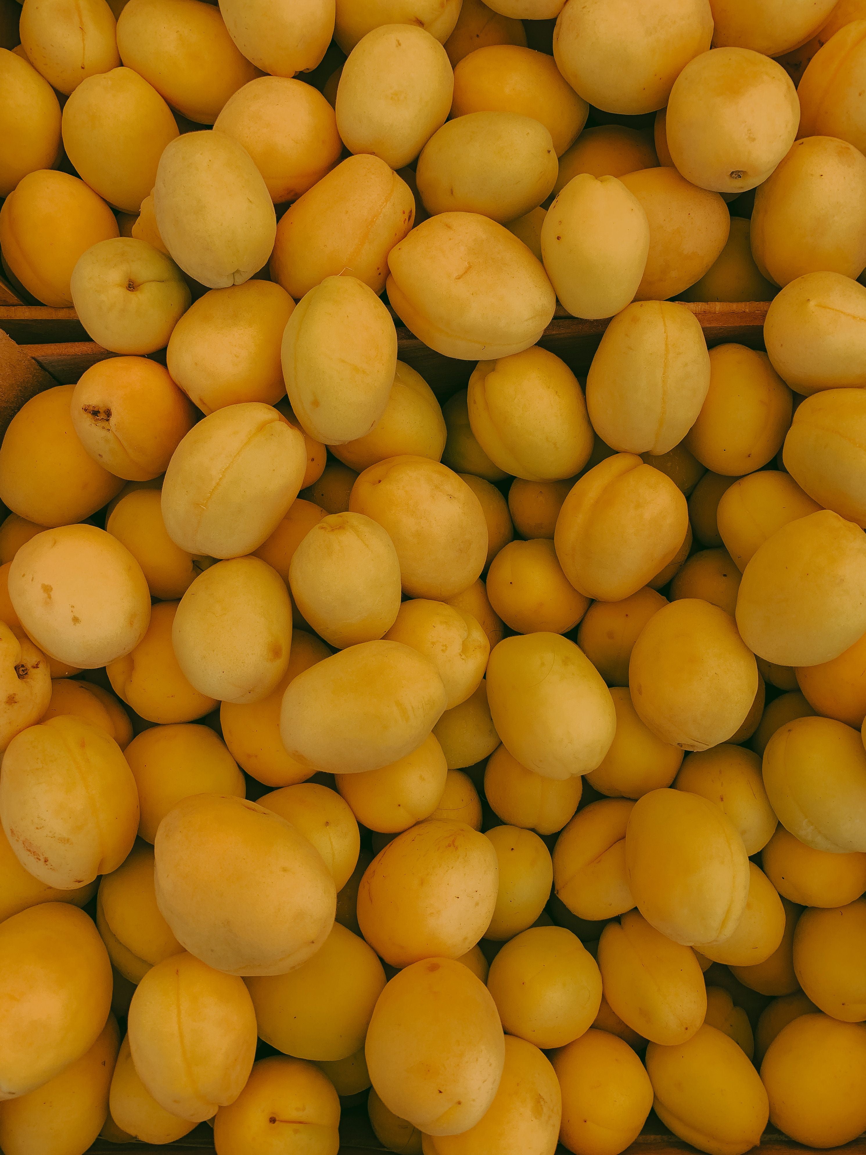Mirabelle de Nancy