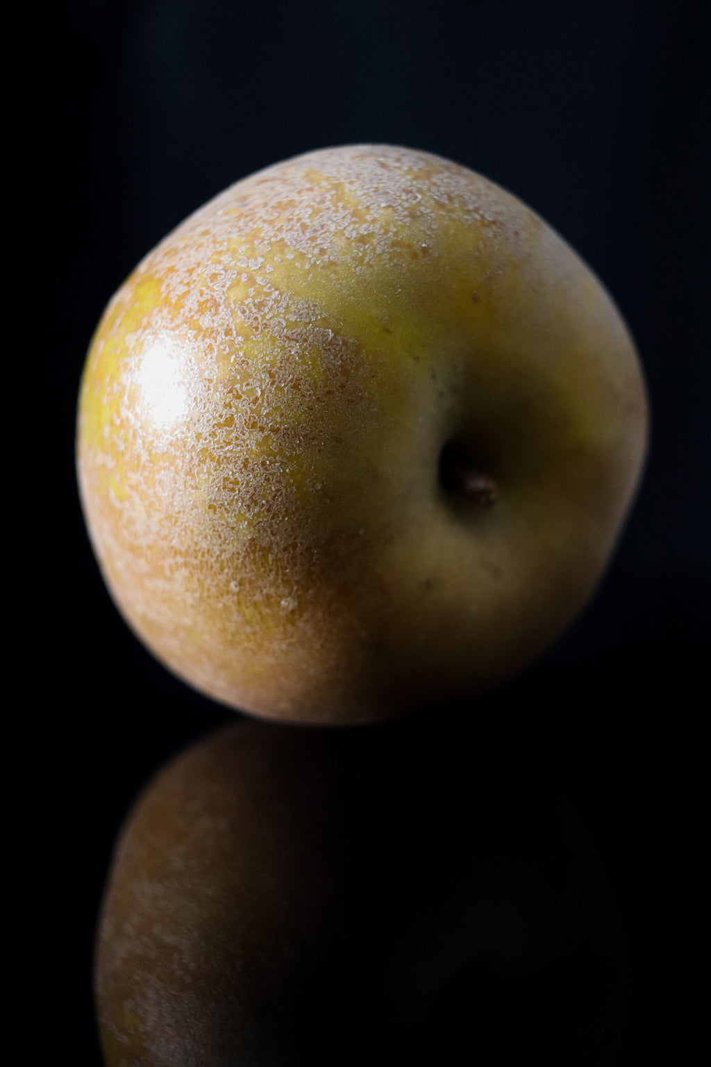 Pomme Reinette du Canada