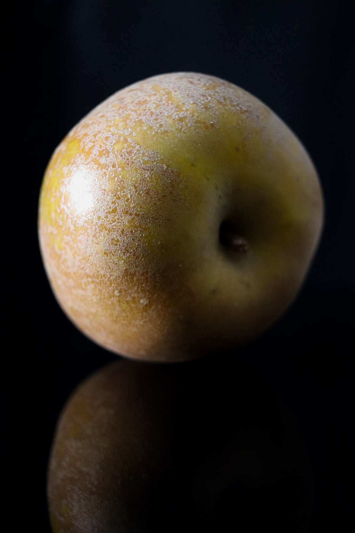 Pomme Reinette du Canada